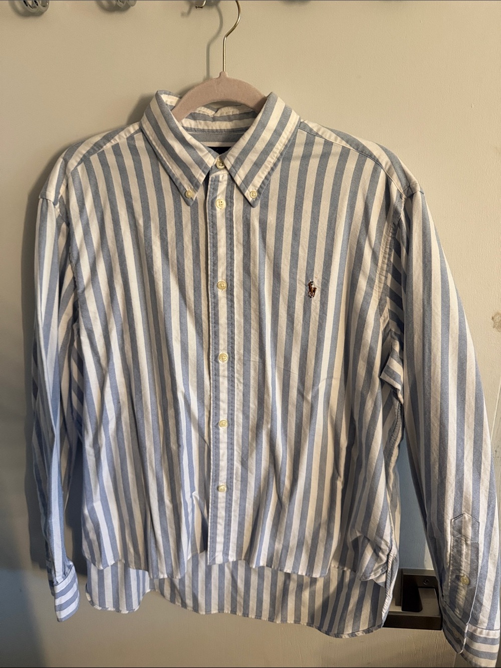 Polo by Ralph Lauren Blue & White Vertical Stripe Button-Down Shirt